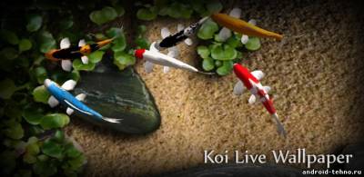 Koi Live Wallpaper - Карманные рыбки для андроид