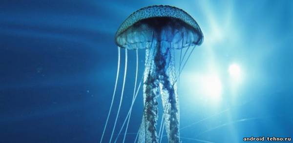 3D Jellyfish HD Pro Live для андроид