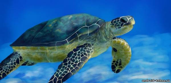 Sea Turtle Live Wallpaper для андроид