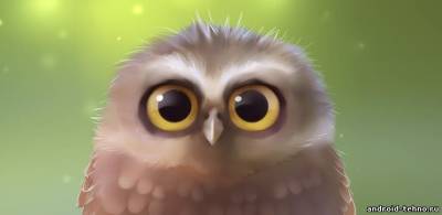 Little Owl Live Wallpaper для андроид