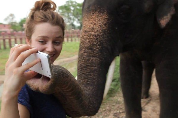 Слон с Samsung Galaxy Note