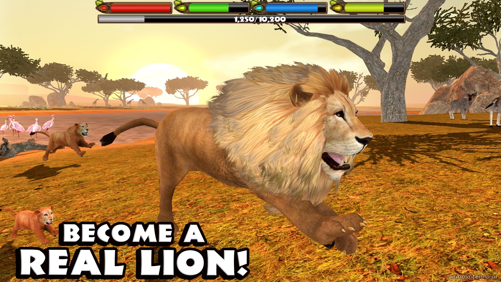 Ultimate Lion Simulator (1.0.4) на Андроид скачать бесплатно