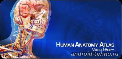 Human Anatomy Atlas для андроид