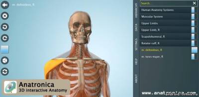 Anatomy 3D - Anatronica для андроид